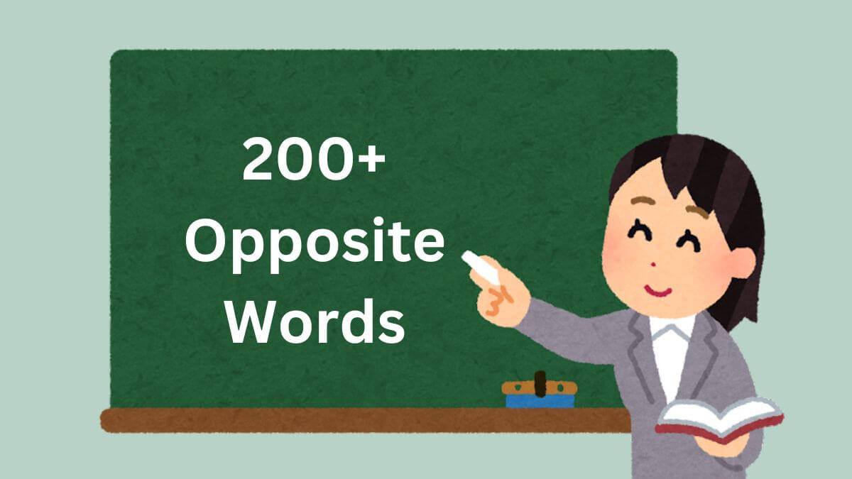 Opposite Words