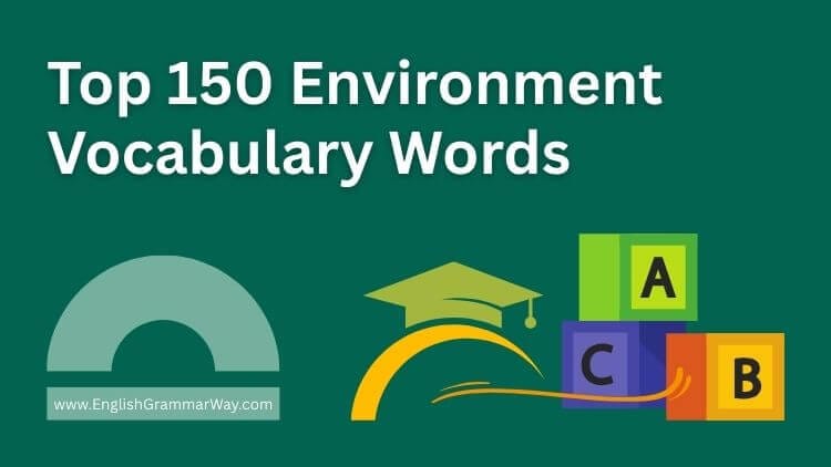 Environment Vocabulary