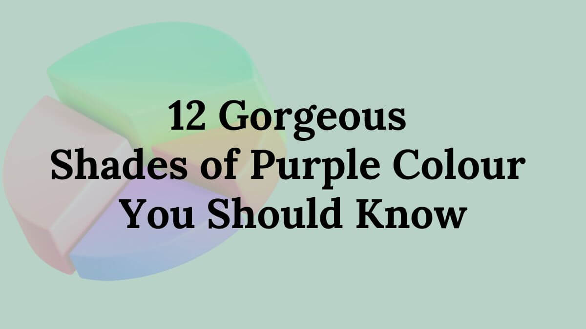 Shades of Purple Colour