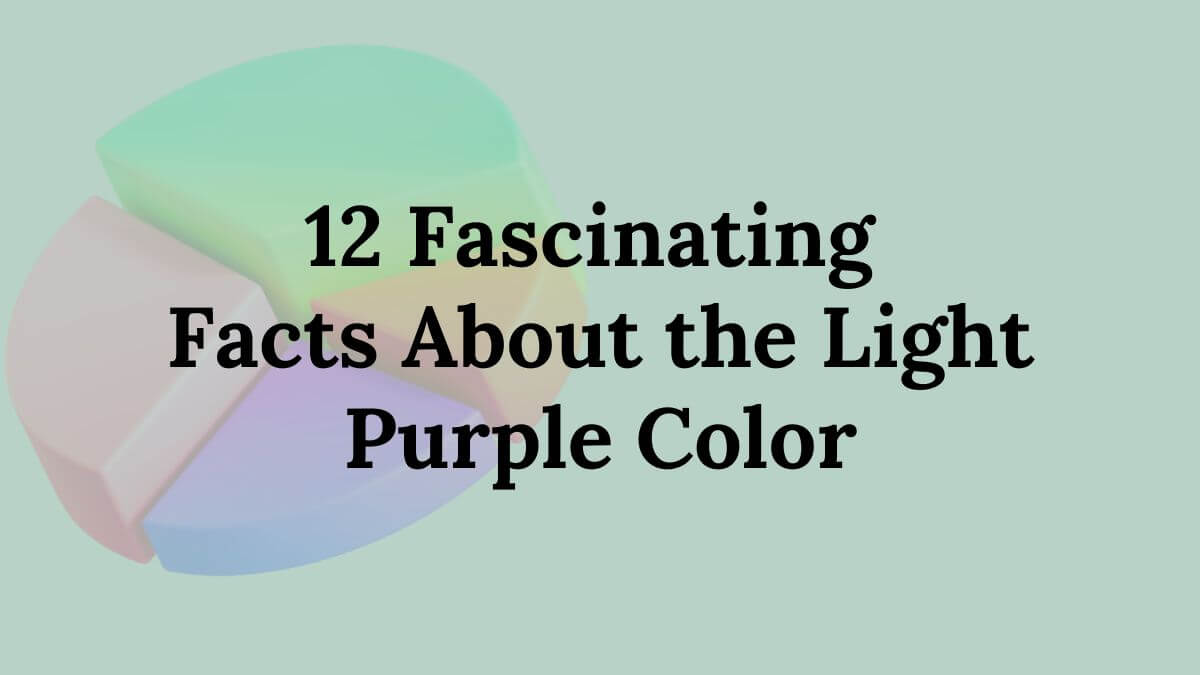 Light Purple Color